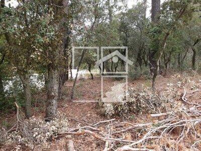 Inmueble en , Barcelona