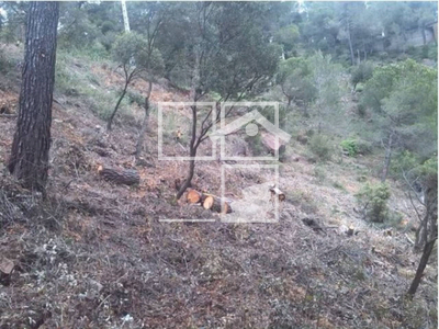 Local en Vacarisses Barcelona