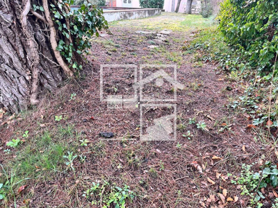 Local en Tona Barcelona