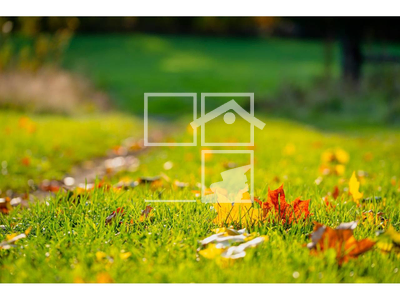 Local en Avenida Abat Marcet    , Terrassa Barcelona