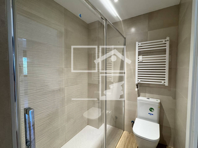 Local en Olot Girona