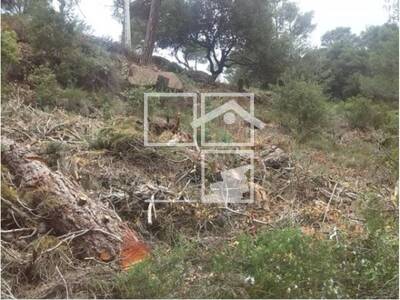 Local en Vacarisses Barcelona