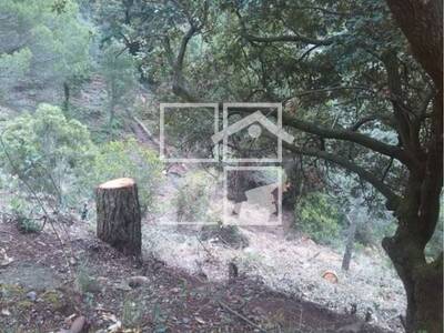 Local en Vacarisses Barcelona