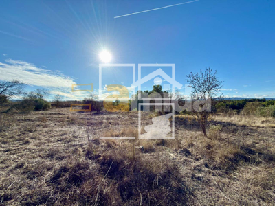 Local en Vinaixa Lleida