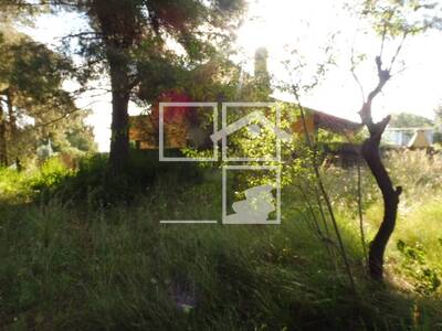 Local en Sant Quirze del Vallès Barcelona