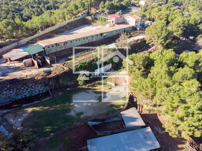 Local en Terrassa Barcelona