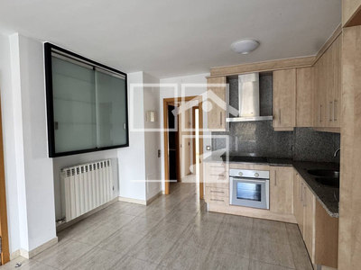 Local en Olot Girona