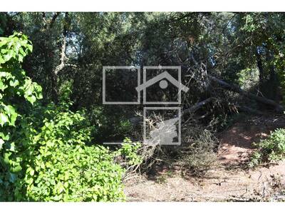 Local en Carena Llarga, Vacarisses Barcelona