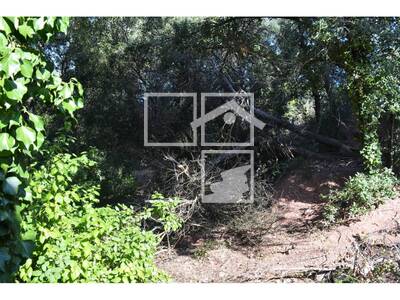 Local en Carena Llarga, Vacarisses Barcelona