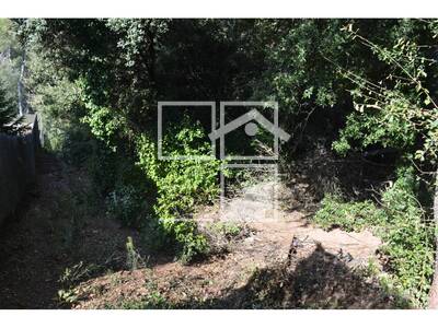 Local en Carena Llarga, Vacarisses Barcelona