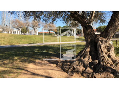 Local en Calle Vallespir   B , Sabadell Barcelona